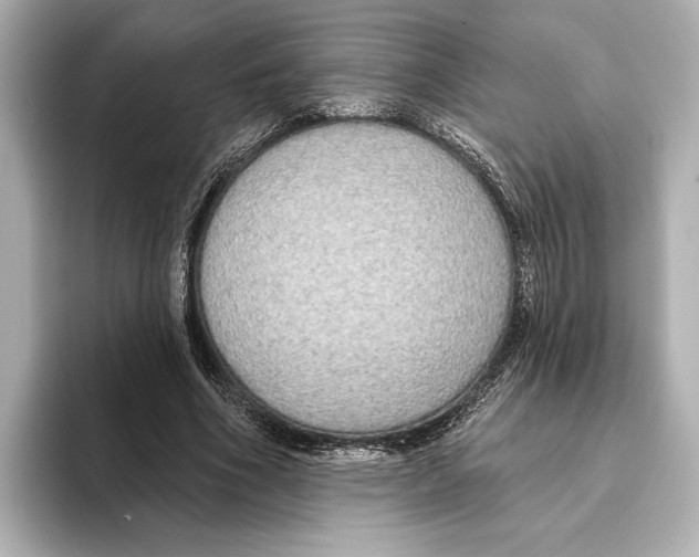 X0000095680586200802051253