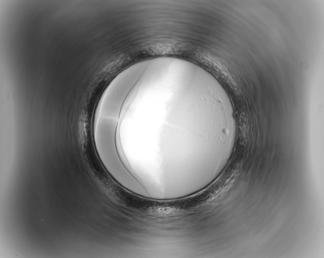 X0000095680590200802051253