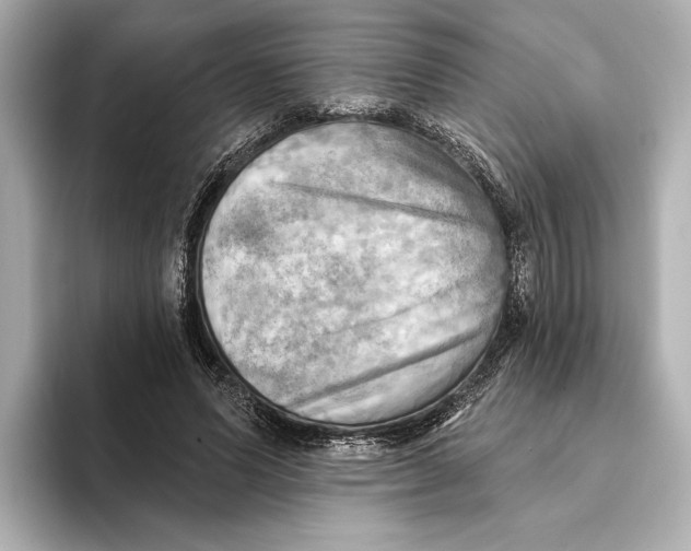 X0000095680591200802051253