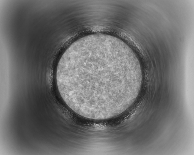 X0000095680592200802051253