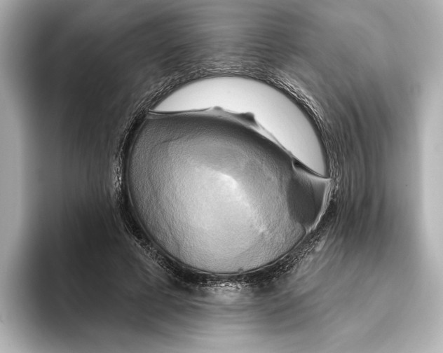 X0000095680593200802051253