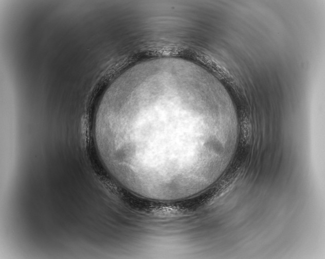 X0000095680594200802051253