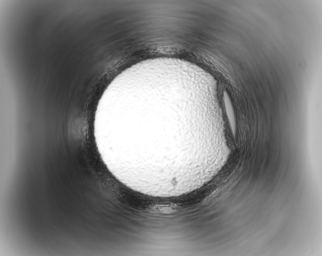 X0000095680595200802051253