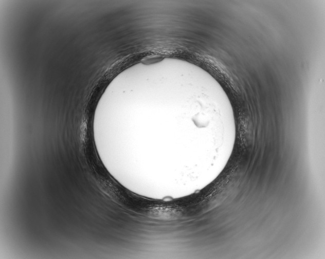 X0000095680596200802051253