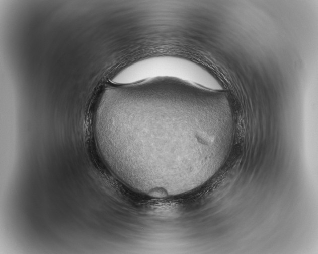 X0000095680601200802051253