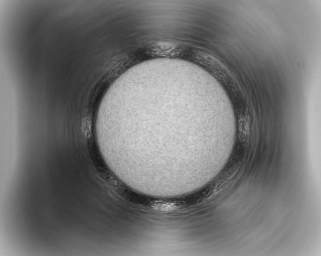 X0000095680602200802051253