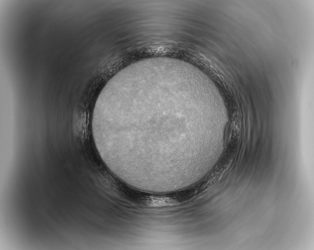 X0000095680605200802051253