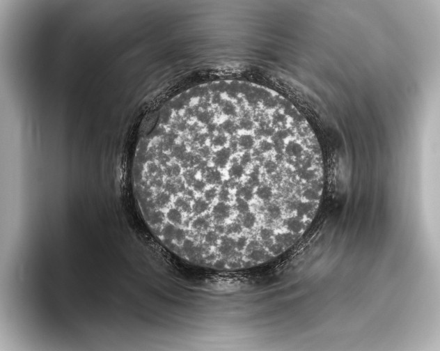 X0000095680608200802051253