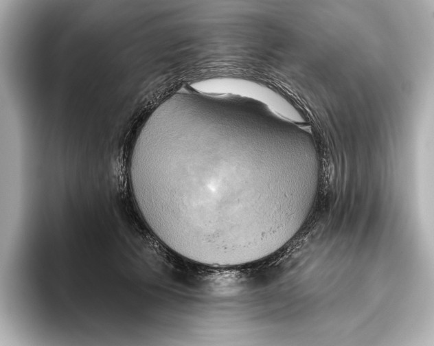 X0000095680609200802051253