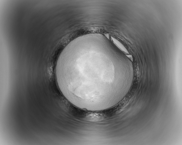 X0000095680611200802051253