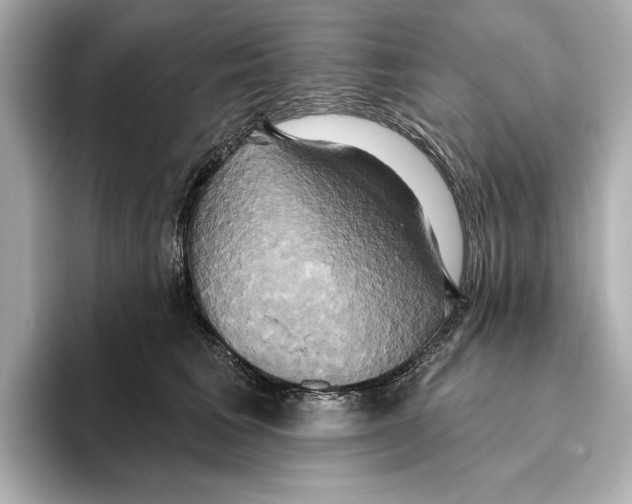 X0000095680613200802051253