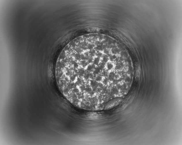 X0000095680616200802051253