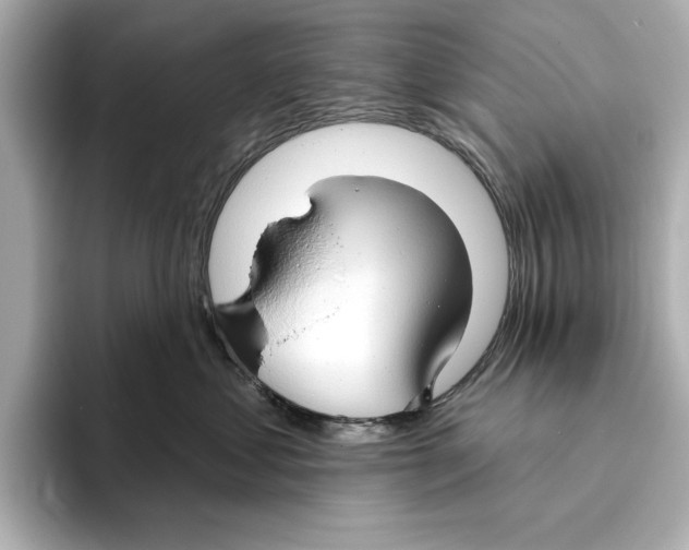 X0000095680621200802051252