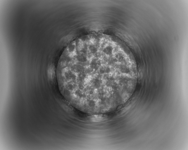 X0000095680623200802051252