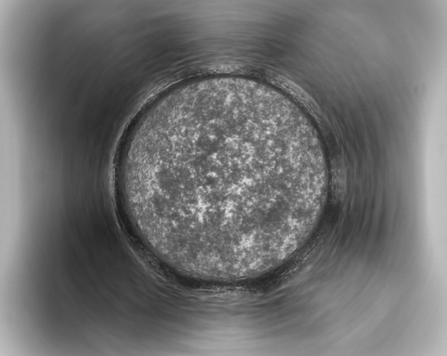 X0000095680626200802051252