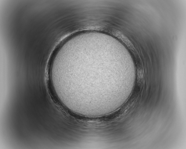 X0000095680628200802051252