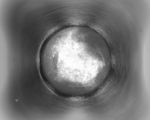 X0000095680630200802051252