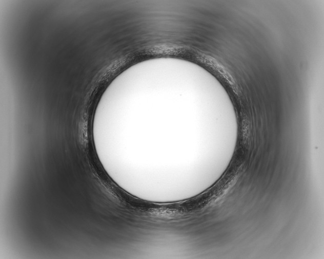 X0000095680633200802051252