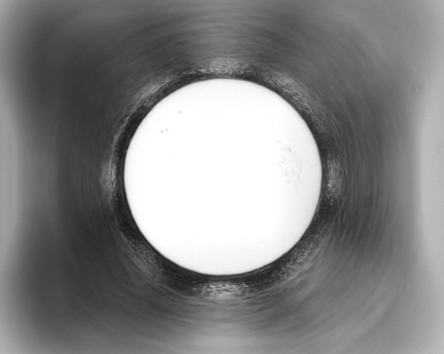 X0000095680636200802051252