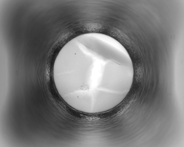 X0000095680644200802051252