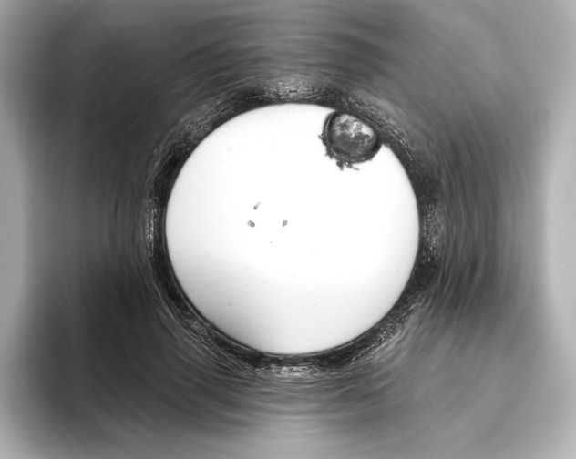 X0000095680645200802051252