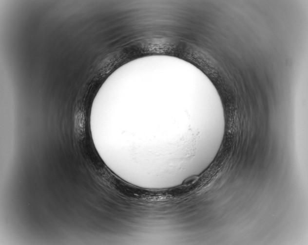 X0000095680646200802051252