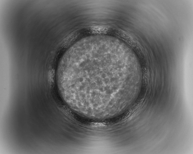 X0000095680649200802051252