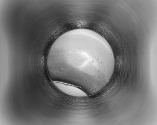 X0000095680650200802051252