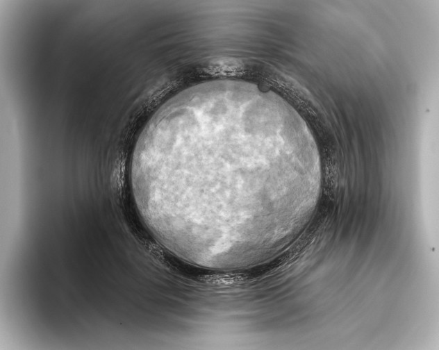 X0000095680652200802051252