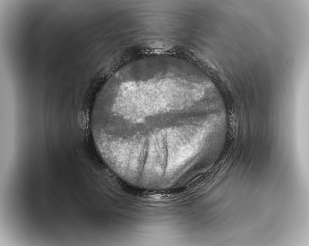 X0000095680657200802051252