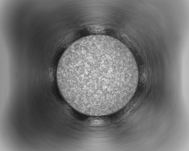 X0000095680658200802051252