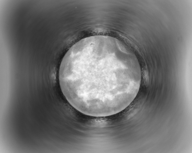 X0000095680668200802051252