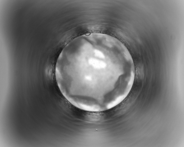 X0000095680671200802051252