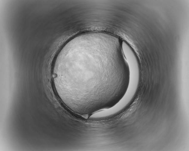 X0000095680673200802051252