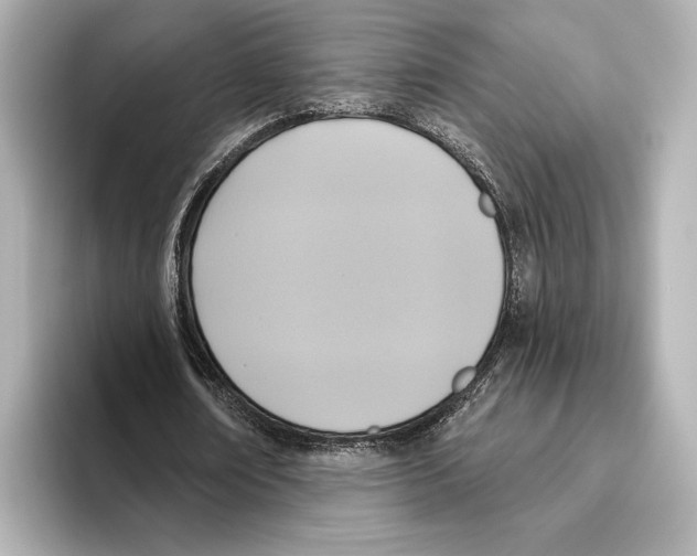 X0000095680674200802051252