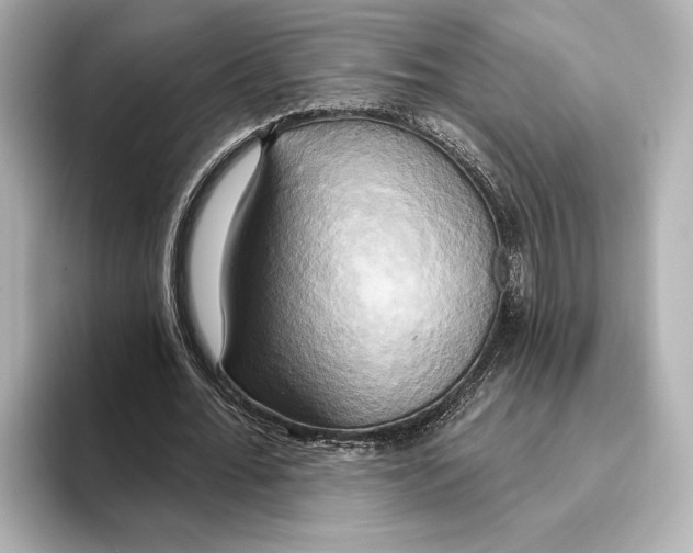 X0000095680676200802051252