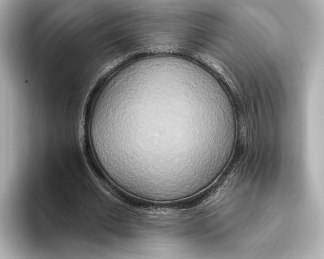 X0000095680677200802051252