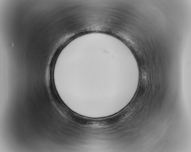 X0000095680678200802051252