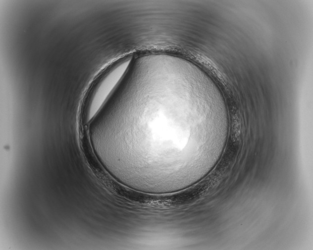 X0000095680680200802051252