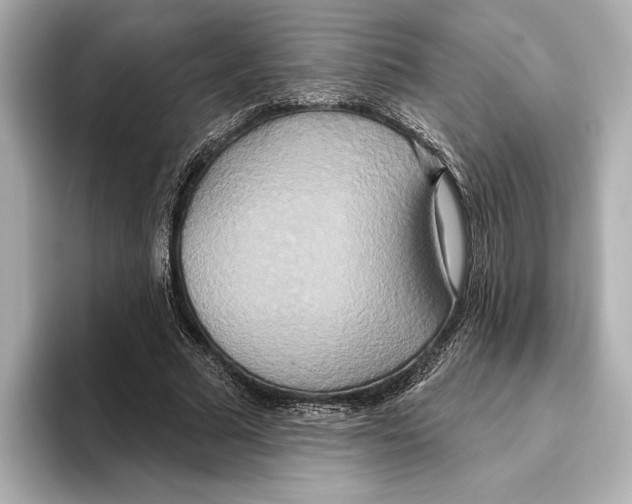 X0000095680681200802051252