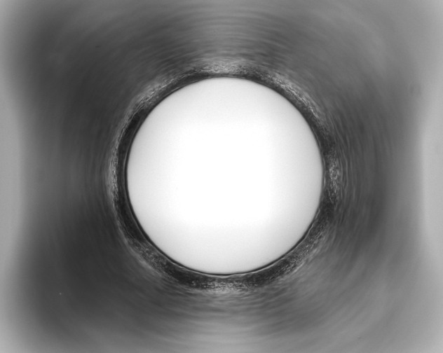 X0000095680682200802051251