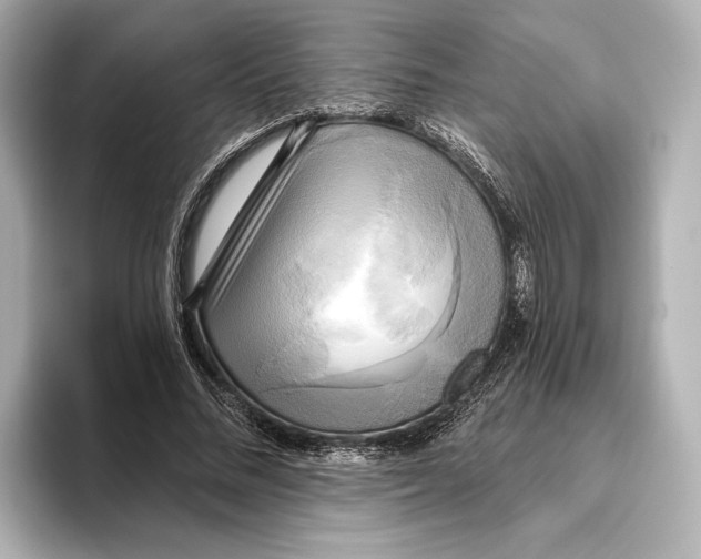 X0000095680684200802051251