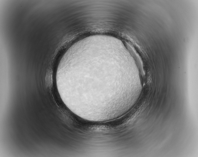 X0000095680685200802051251