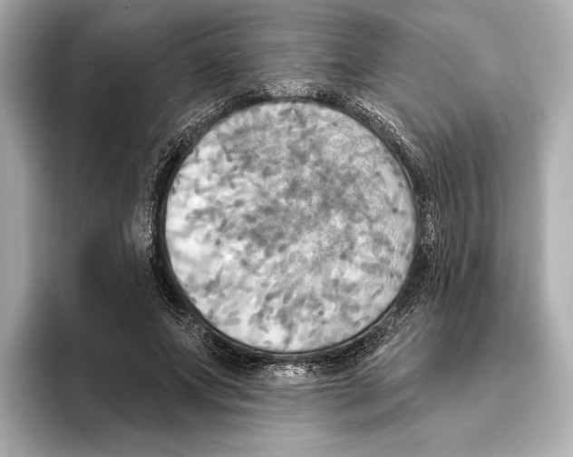 X0000095680687200802051251