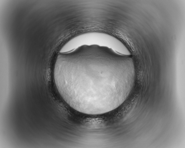 X0000095680689200802051251