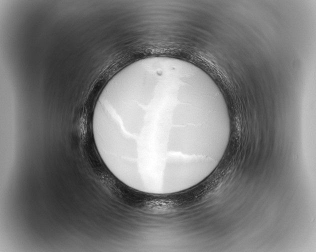 X0000095680691200802051251