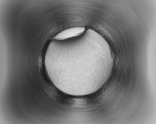 X0000095680693200802051251