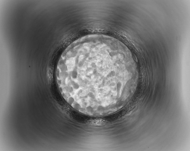 X0000095680695200802051251