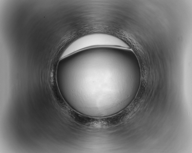 X0000095680696200802051251