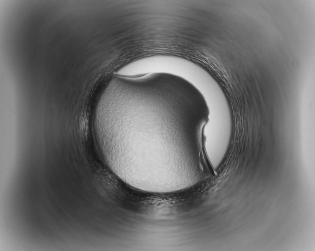 X0000095680697200802051251